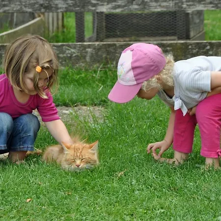 Alojamento de Turismo Rural Noeglhof