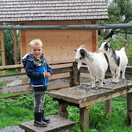 Фермерский дом Noeglhof *