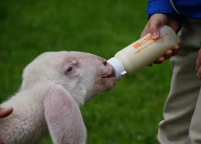 Noeglhof Радштадт