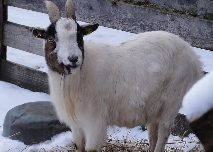 Noeglhof Радштадт