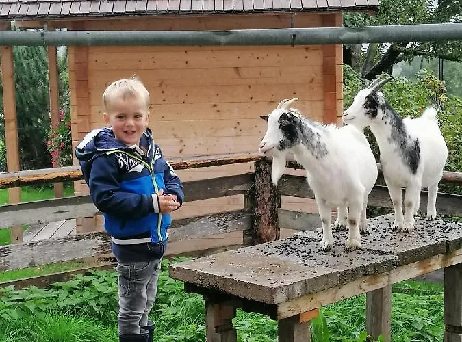 Фермерский дом Noeglhof *